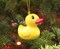 Fun Rubber Ducky Christmas Ornament